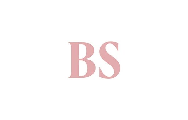 Business Standard 1 685x385