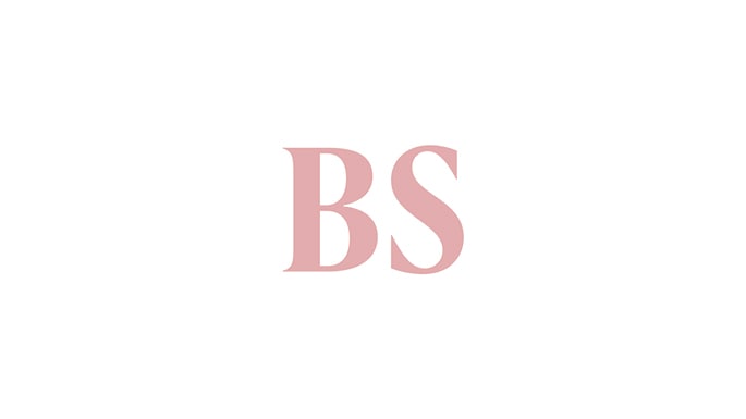 Business Standard 1 685x385